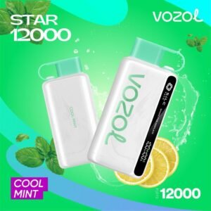 VOZOL STAR 12000 PUFFS